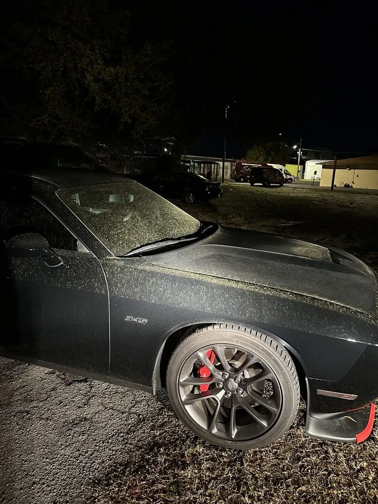 Top-rated landscaping services with custom design across Auburndale, FL - PF Lawn Service & Handyman