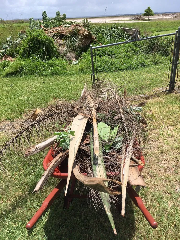 Local lawn care service for year-round maintenance in Auburndale, FL by PF Lawn Service & Handyman