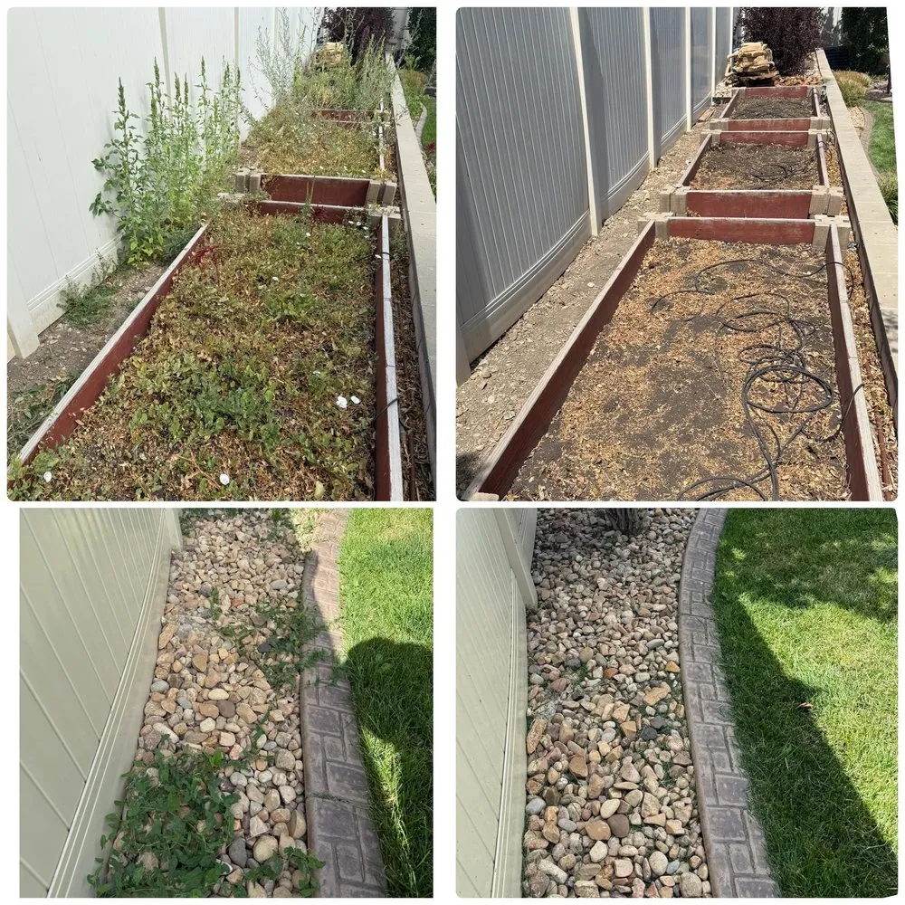 Expert yard cleanup service experts serving Midvale, UT - Pf Solutions