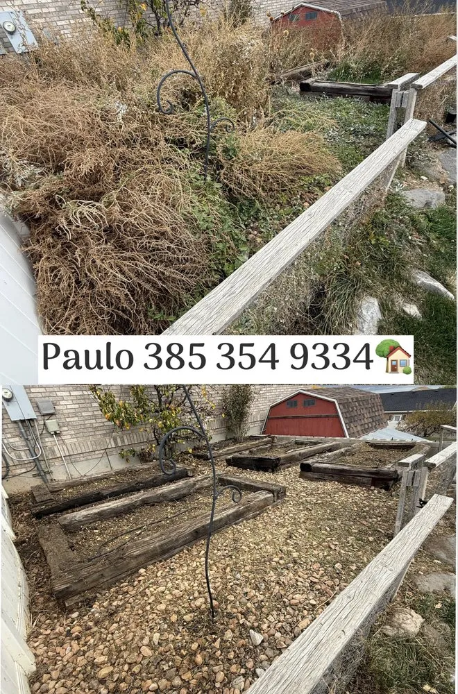 Top-rated yard maintenance in Midvale, UT by Pf Solutions