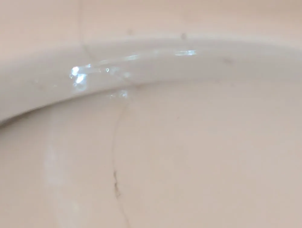 Reliable yard maintenance for year-round maintenance in Seattle, WA by P.F Solutions