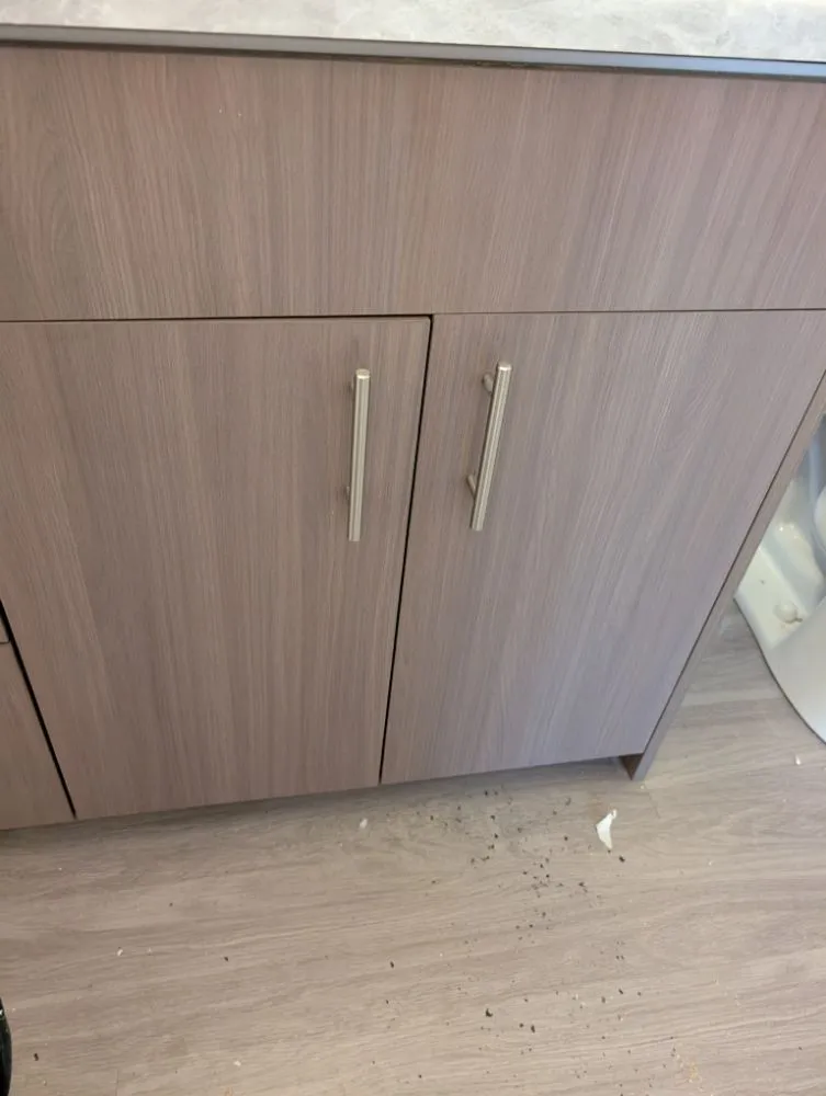 Custom landscape design in Seattle, WA - P.F Solutions