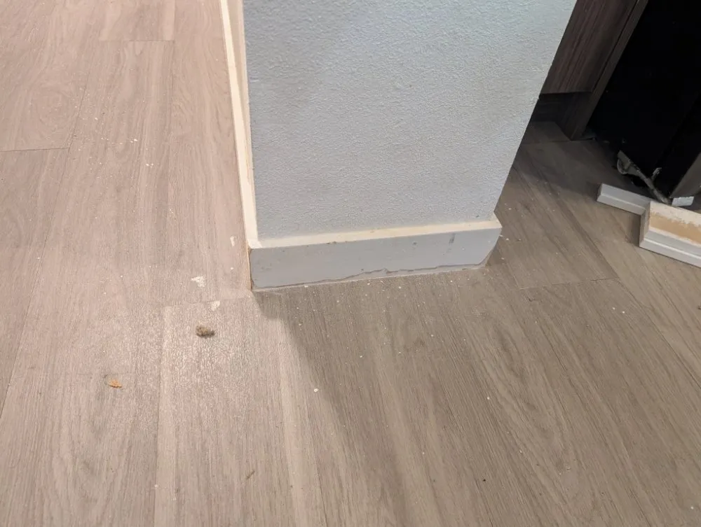 Affordable landscape installation for homes in Seattle, WA by P.F Solutions