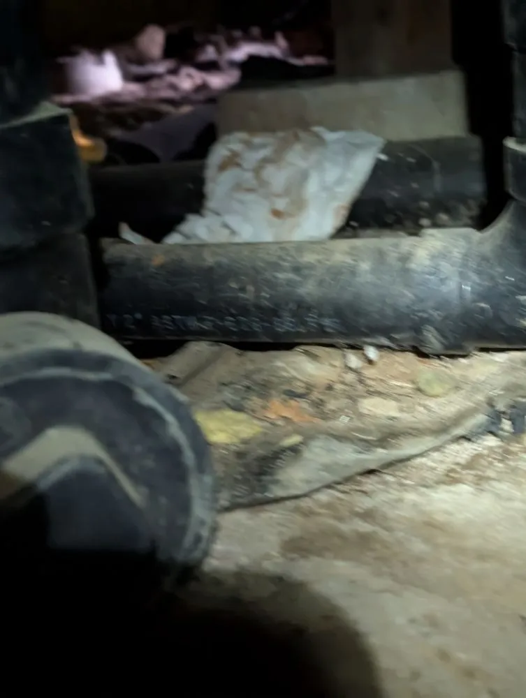 Affordable yard cleanup service in Seattle, WA - P.F Solutions