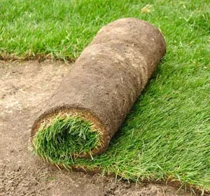 Local garden landscaping experts serving Germantown, WI - Pfaff Sod