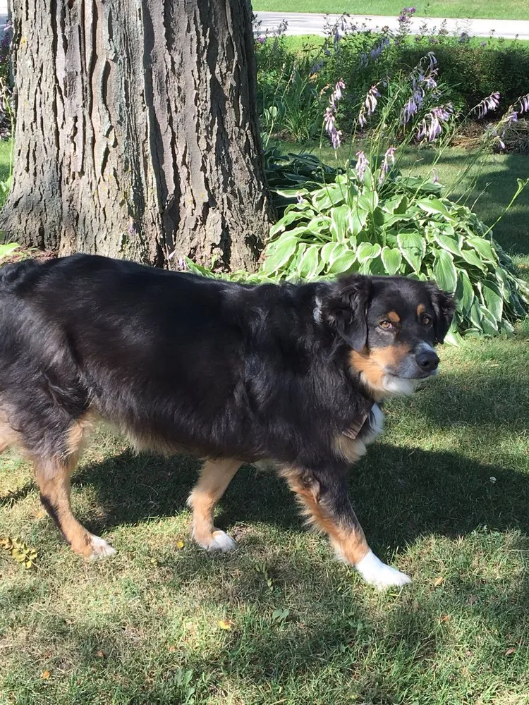 Custom garden landscaping in Germantown, WI - Pfaff Sod