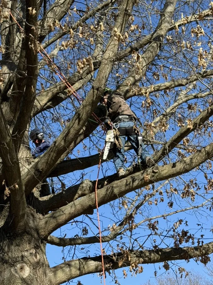 Professional landscape installation in Brooklyn, WI - PFD Property Maintenance
