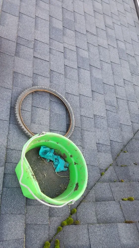 Local landscaping services for year-round maintenance in Lebanon, OR by Pfits Services