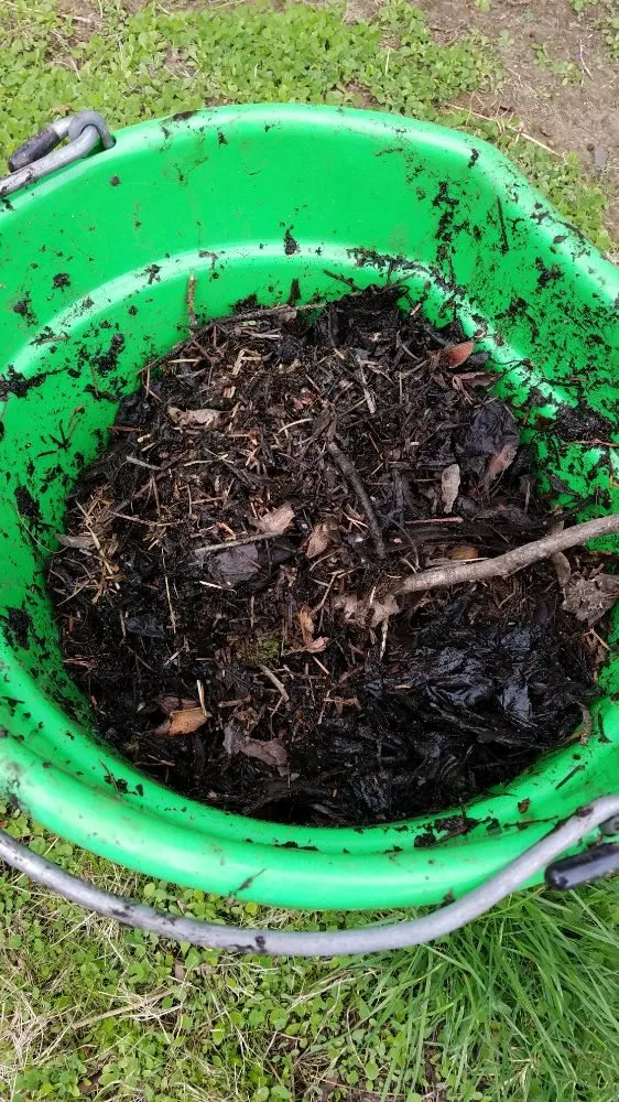 Expert lawn care service in Lebanon, OR - Pfits Services