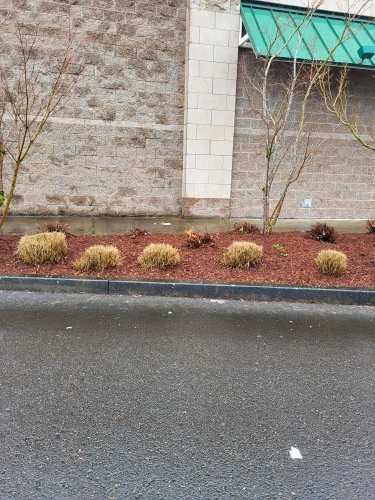 Top-rated outdoor landscaping in Lebanon, OR - Pfits Services