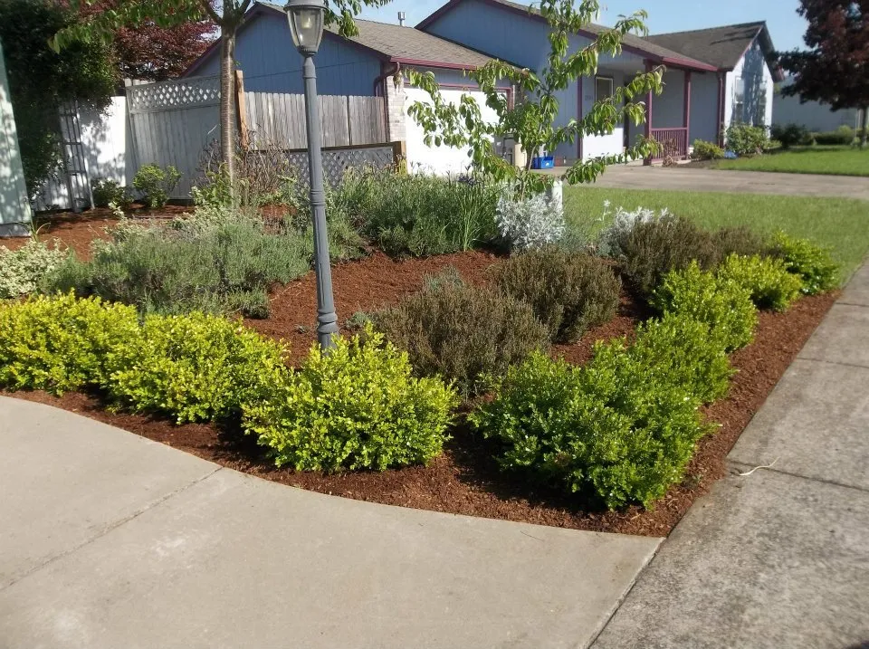 Custom outdoor landscaping for residential properties across Lebanon, OR - Pfits Services