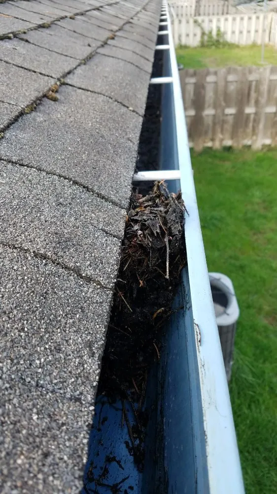 Trusted landscape design in Lebanon, OR - Pfits Services