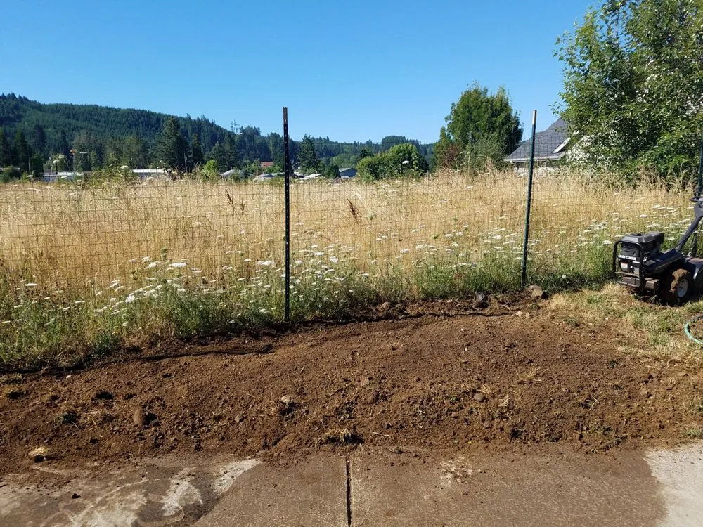 Top-rated outdoor landscaping experts serving Lebanon, OR - Pfits Services