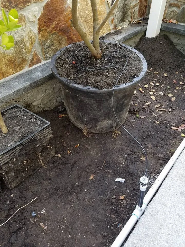 Custom yard cleanup service in Rehoboth, MA by P&G Irrigation