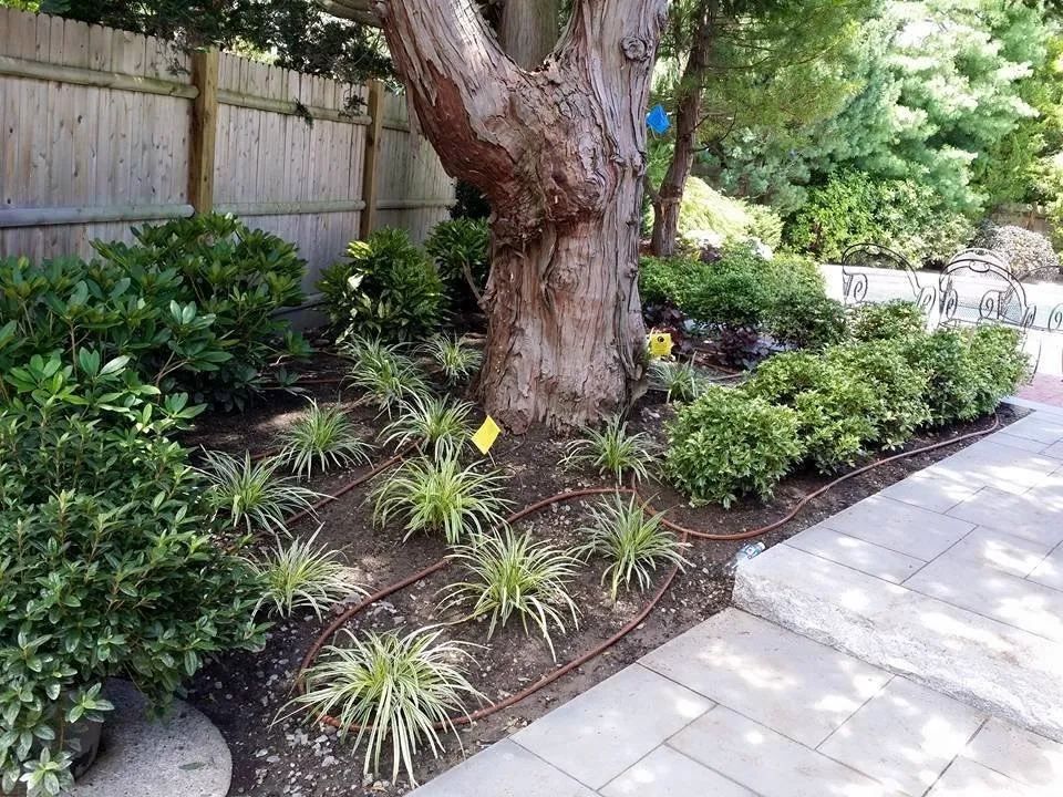 Trusted lawn care service in Rehoboth, MA - P&G Irrigation