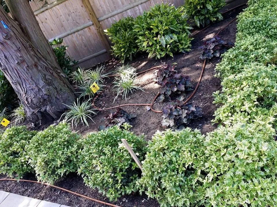 Affordable residential landscaping experts serving Rehoboth, MA - P&G Irrigation