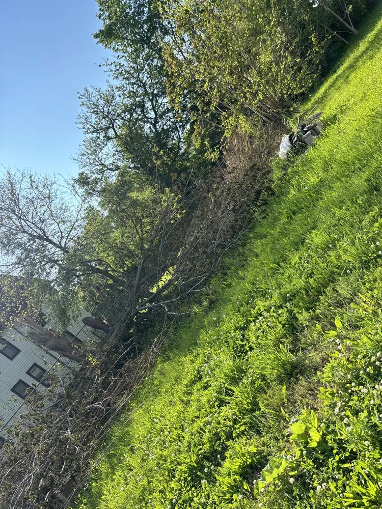 Trusted landscape design for year-round maintenance across Lincoln Park, MI - P&G Landscape and Snow Removal