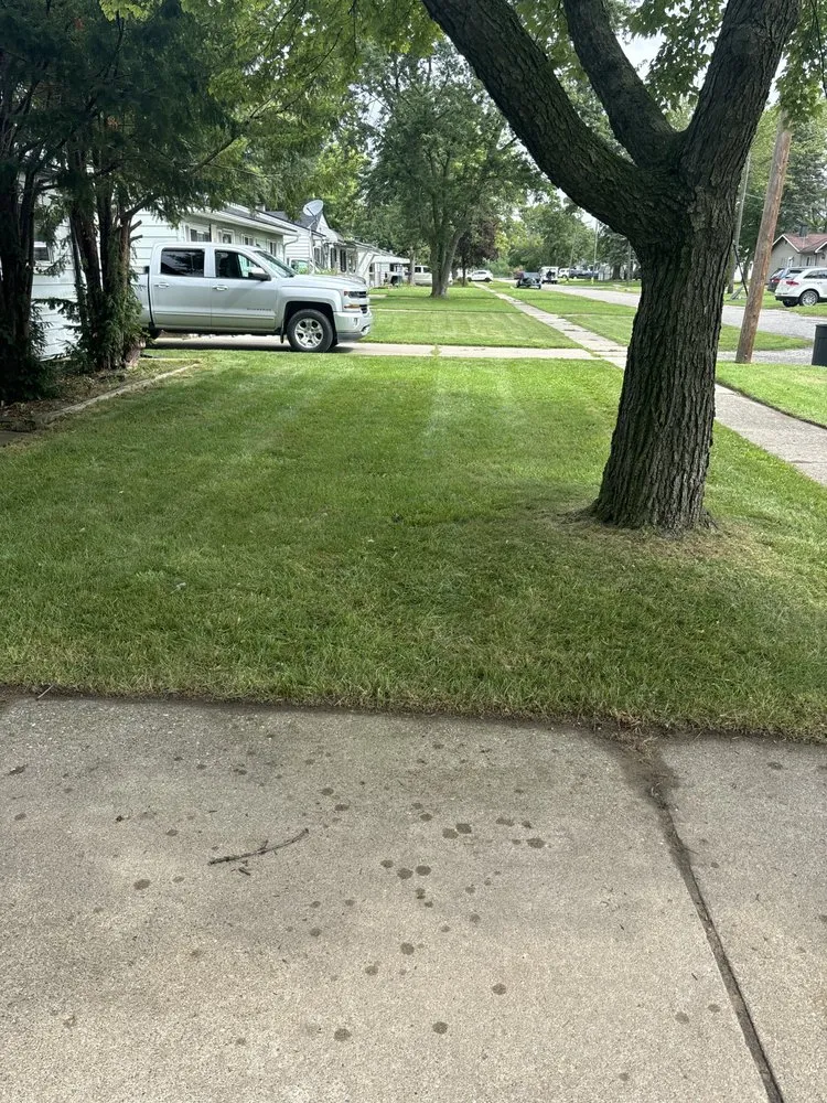 Trusted yard cleanup service in Lincoln Park, MI - P&G Landscape and Snow Removal