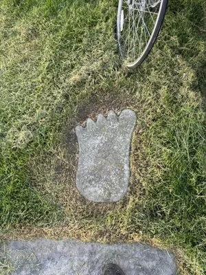 P&G Landscape and Snow Removal