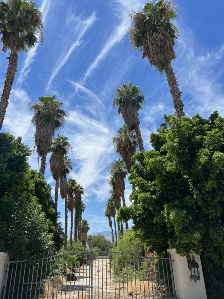 Trusted landscaping services in Desert Hot Springs, CA by PG Landscape