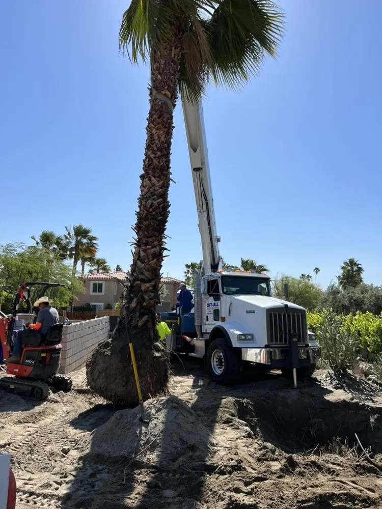 Top-rated garden landscaping in Desert Hot Springs, CA by PG Landscape