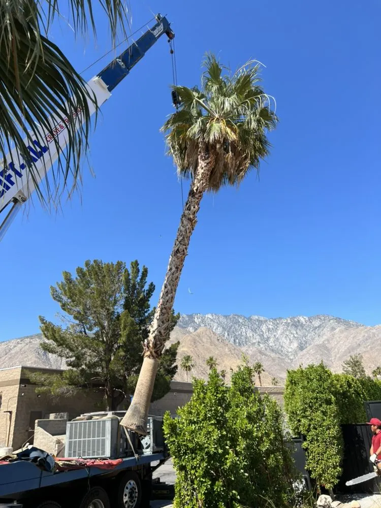 Trusted outdoor landscaping in Desert Hot Springs, CA by PG Landscape