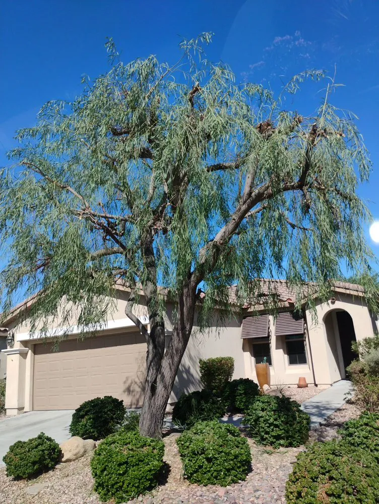 Trusted landscaping services for residential properties across Desert Hot Springs, CA - PG Landscape