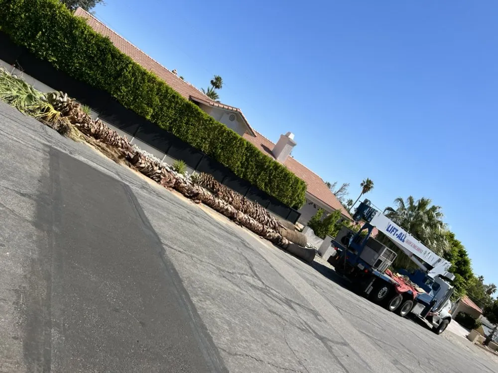 Trusted residential landscaping near you in Desert Hot Springs, CA by PG Landscape