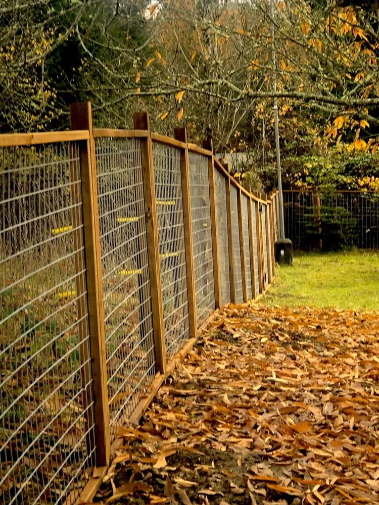 Trusted lawn care service in Ferndale, WA by PG Landscaping & Lawn Care