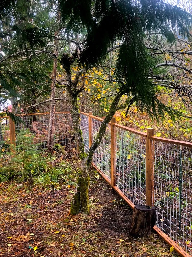 Expert lawn care service near you in Ferndale, WA by PG Landscaping & Lawn Care