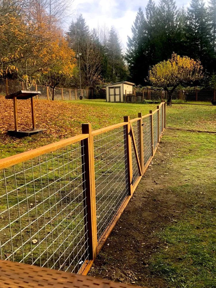 Top-rated lawn mowing service in Ferndale, WA - PG Landscaping 360