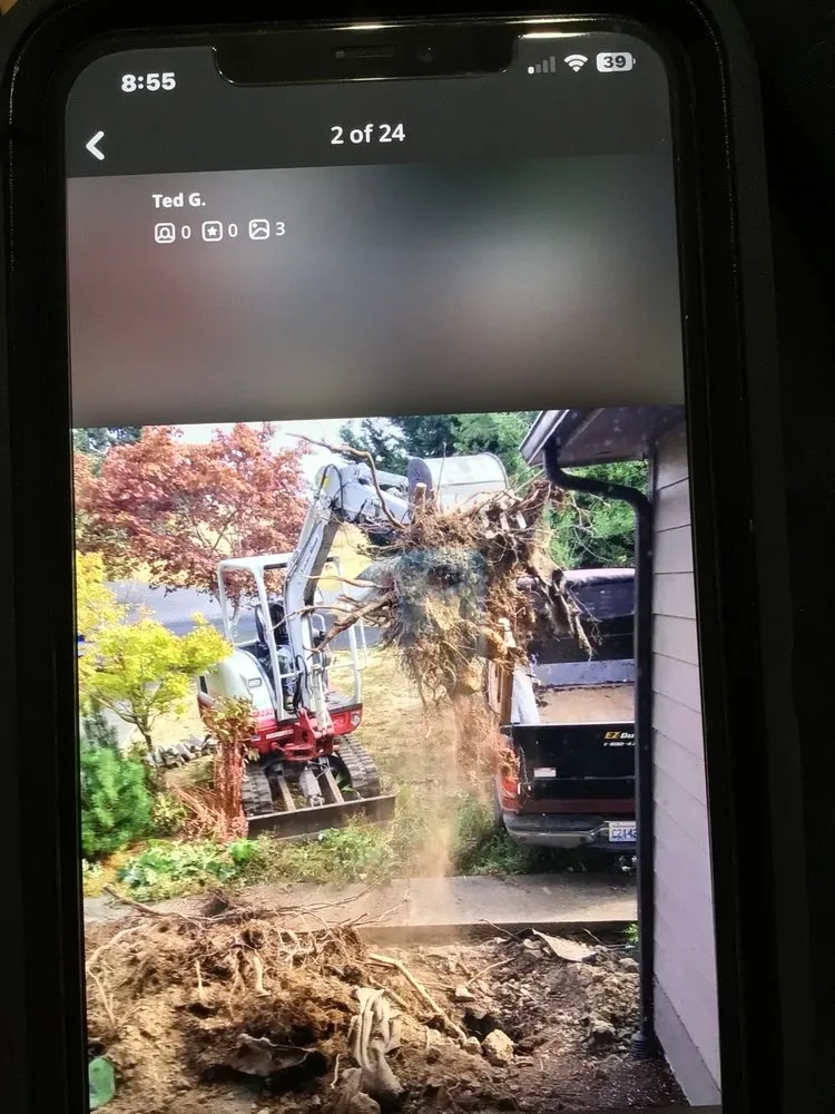 Affordable yard cleanup service in Kelso, WA by P&G Landscaping and Hardscaping