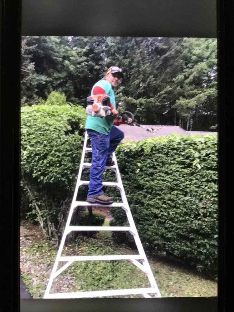 Reliable garden landscaping in Kelso, WA - P&G Landscaping and Hardscaping