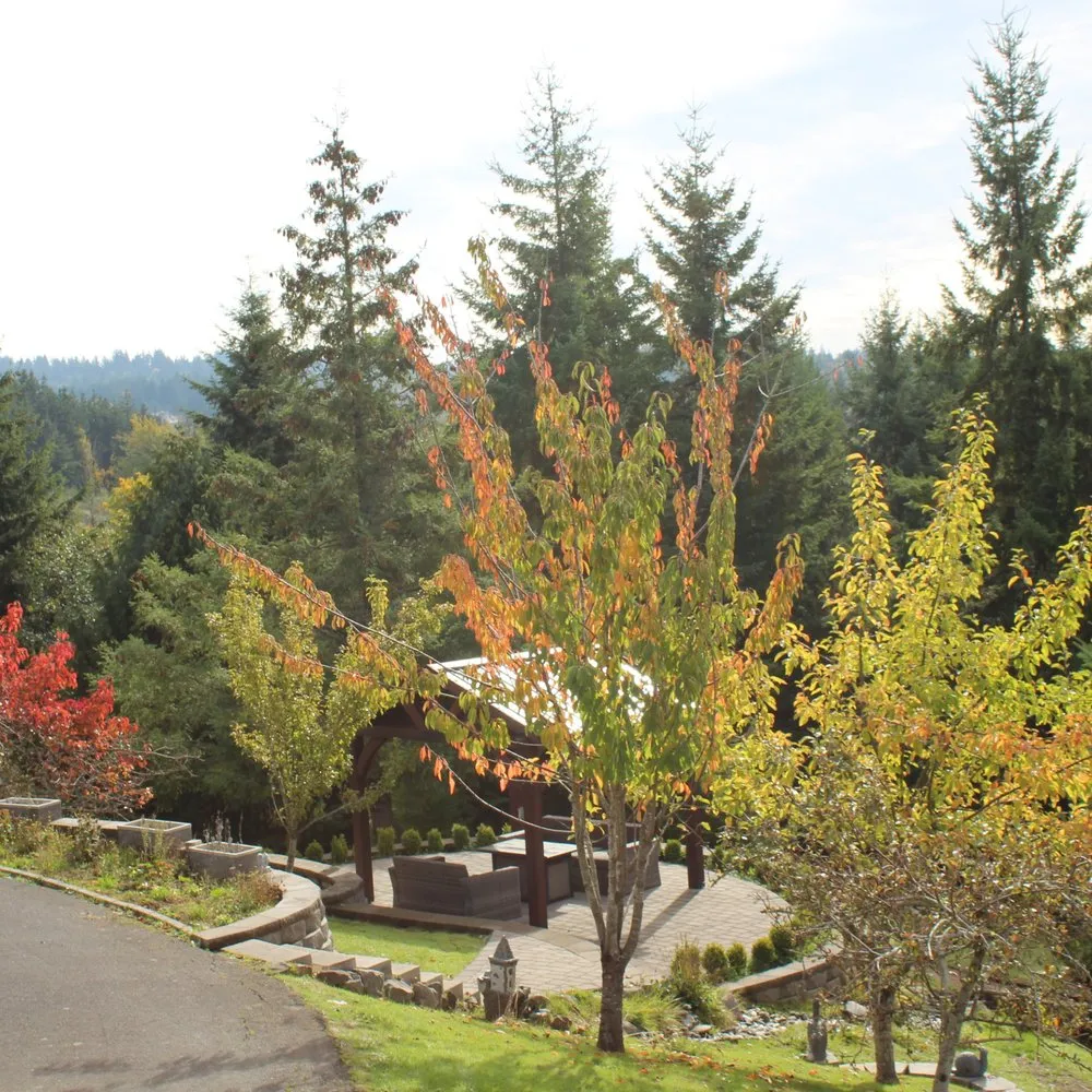 Expert landscape installation in Kelso, WA by P&G Landscaping and Hardscaping