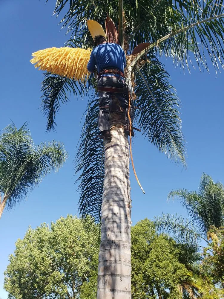 Expert landscape design experts serving Moreno Valley, CA - PG Landscaping