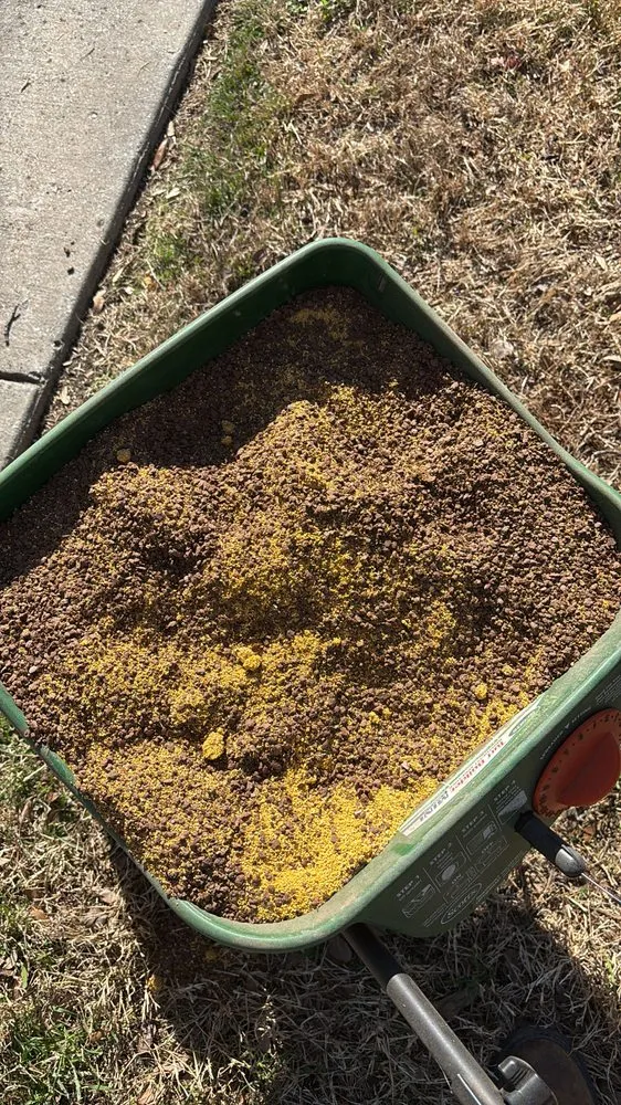 Professional lawn mowing service in McKinney, TX by PG Lawn Care