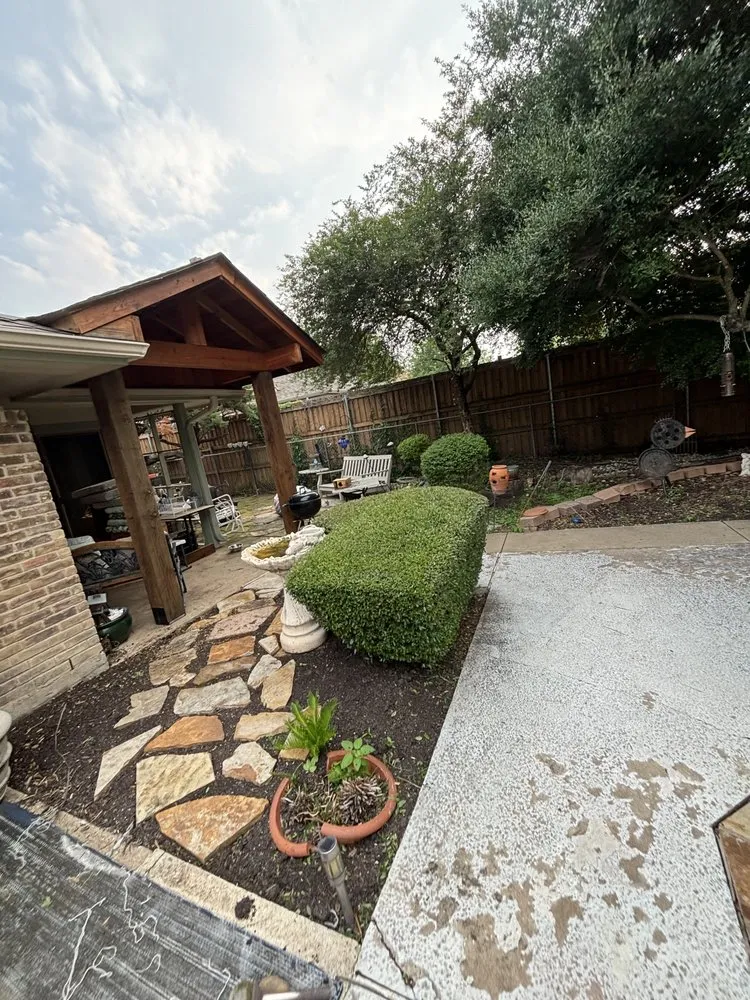 Expert yard cleanup service for beautiful yards across McKinney, TX - PG Lawn Care