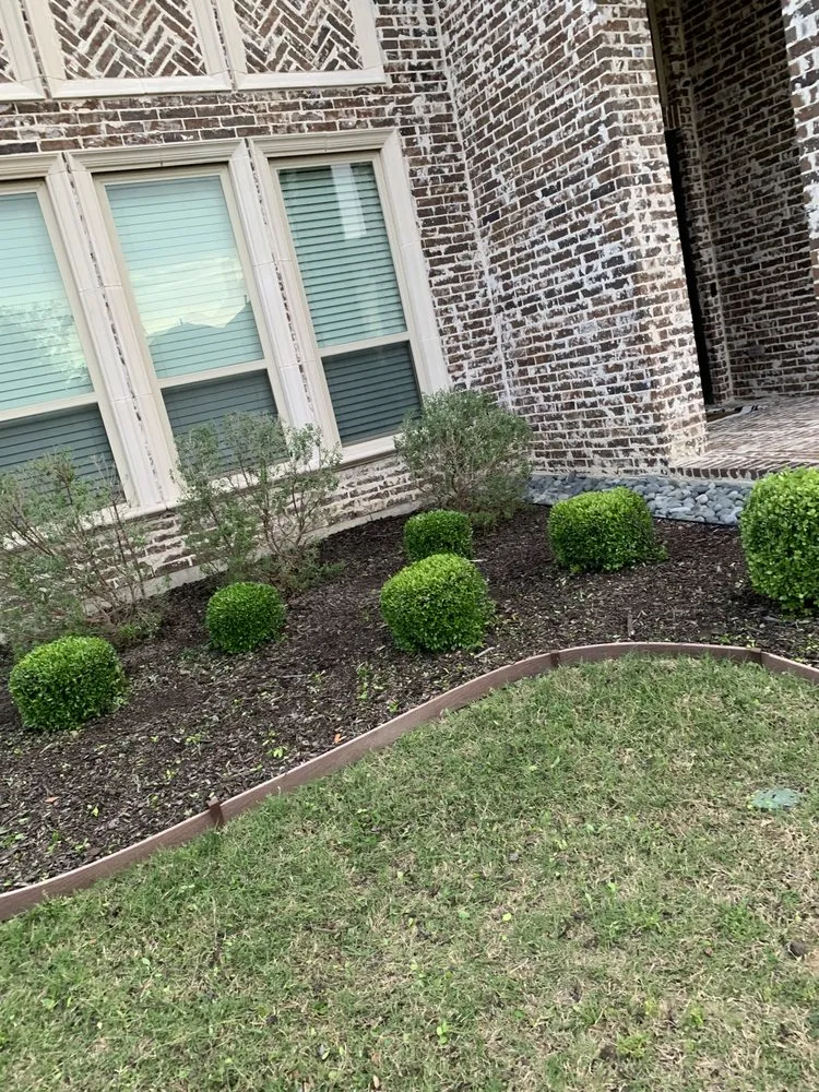 Local lawn care service in McKinney, TX by PG Lawn Care