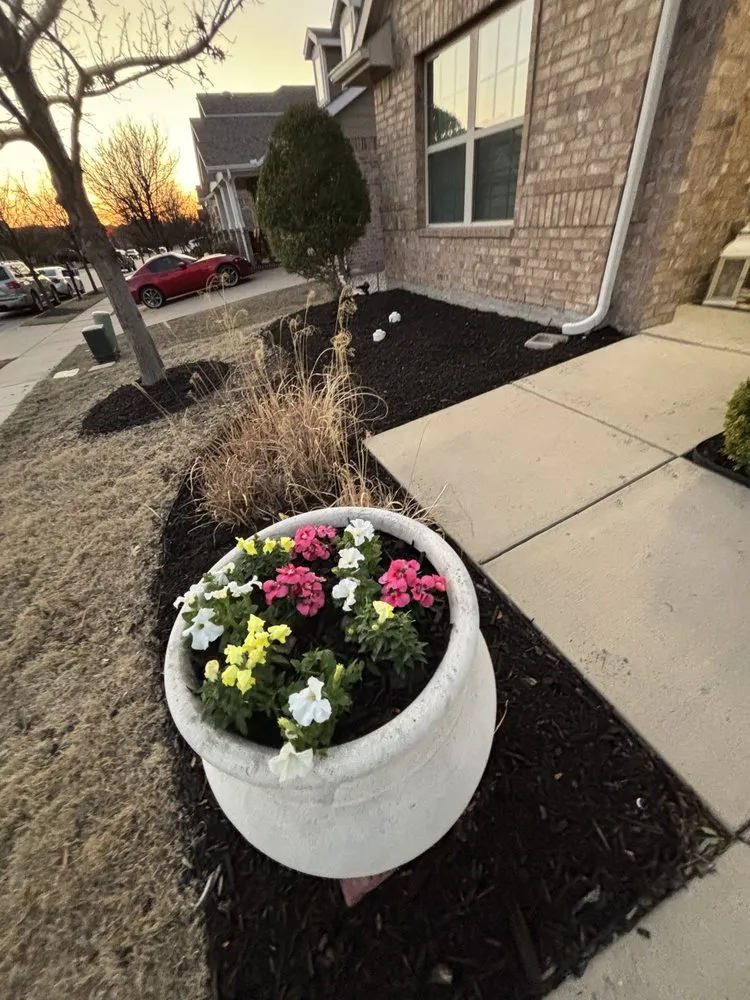 Professional residential landscaping in McKinney, TX - PG Lawn Care