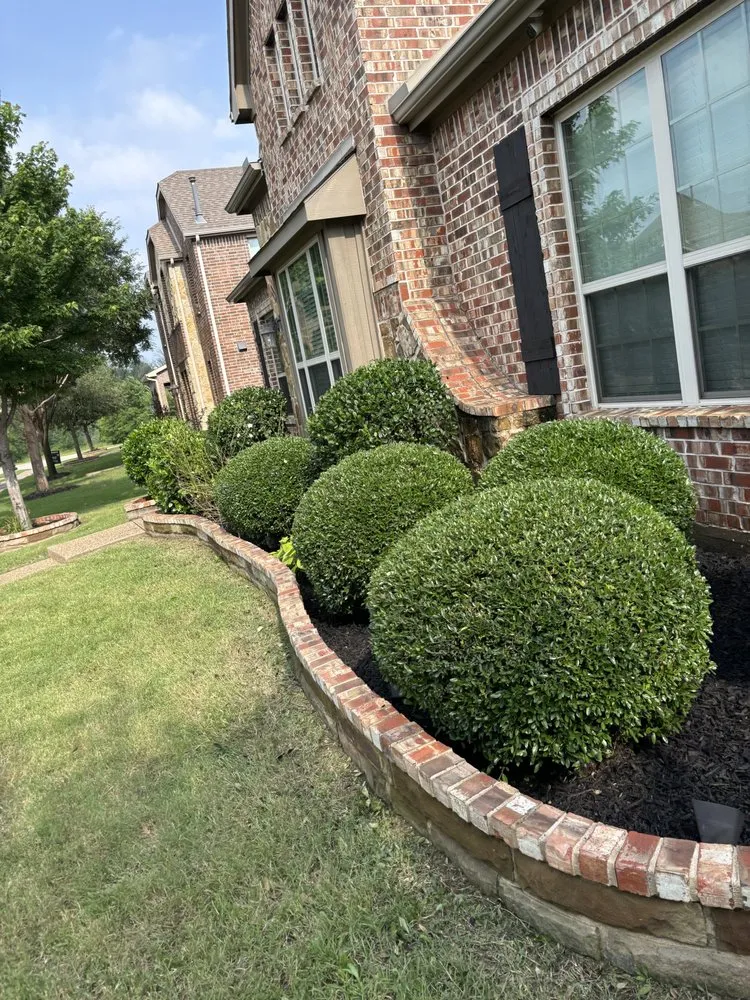 Trusted landscape installation in McKinney, TX by PG Lawn Care