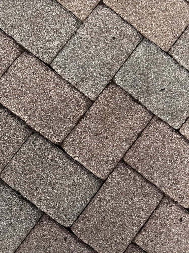 Local yard cleanup service for year-round maintenance in Naples, FL by P&G Pressure Washing