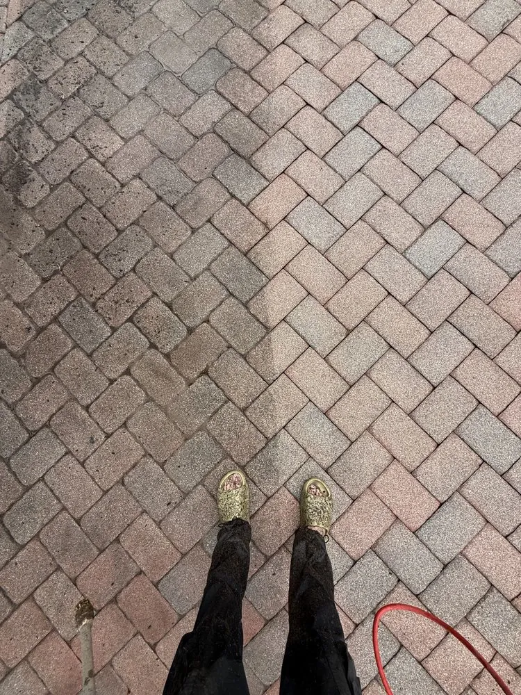 Expert residential landscaping experts serving Naples, FL - P&G Pressure Washing