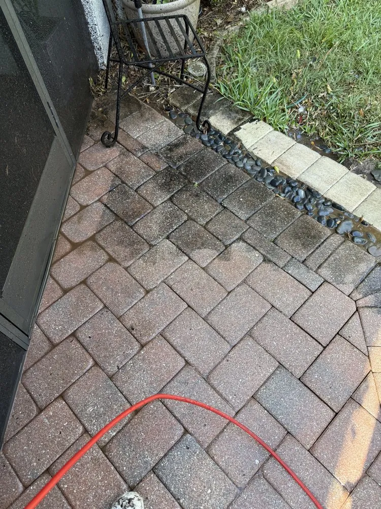 Reliable yard cleanup service for homes across Naples, FL - P&G Pressure Washing