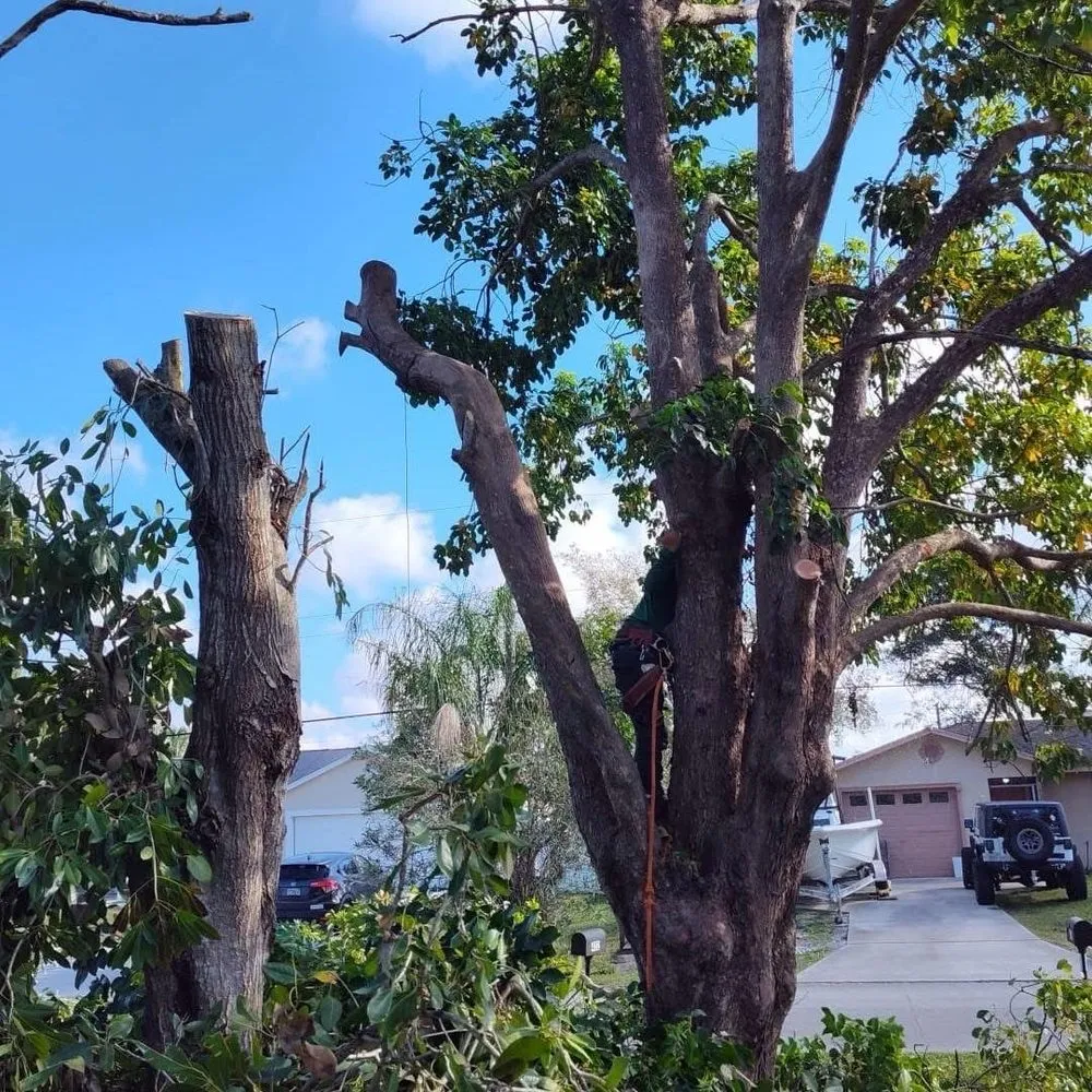 Reliable outdoor landscaping in Port St. Lucie, FL - Pg Service