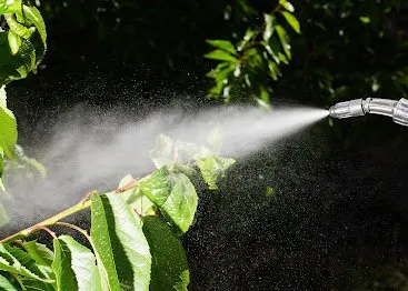 Trusted garden landscaping for outdoor upgrades across Jacksonville, FL - PGM Facility Services