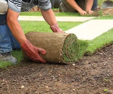 Top-rated landscape installation for year-round maintenance in Jacksonville, FL by PGM Facility Services