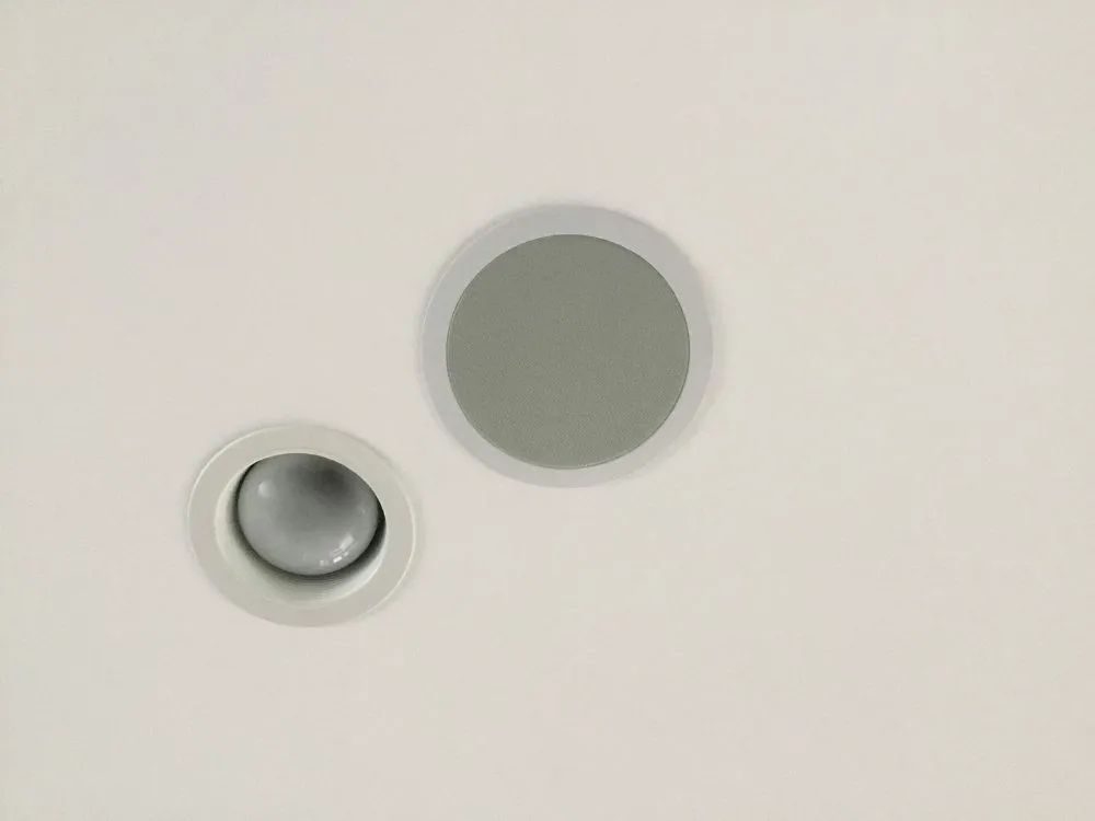 Custom yard maintenance in Houston, TX by PGM Lawn Care