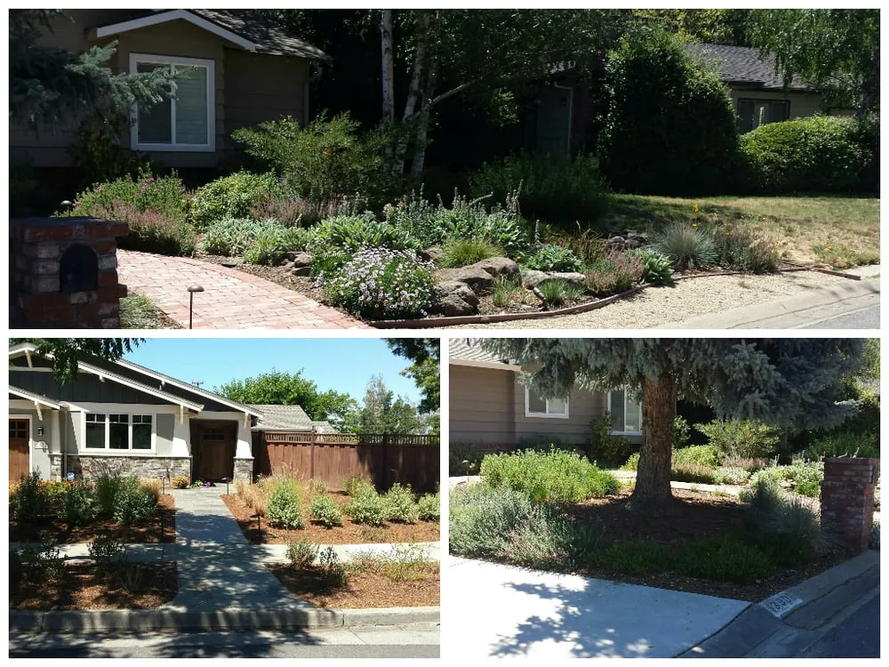 Professional lawn mowing service in Watsonville, CA by PGS Landscape Company