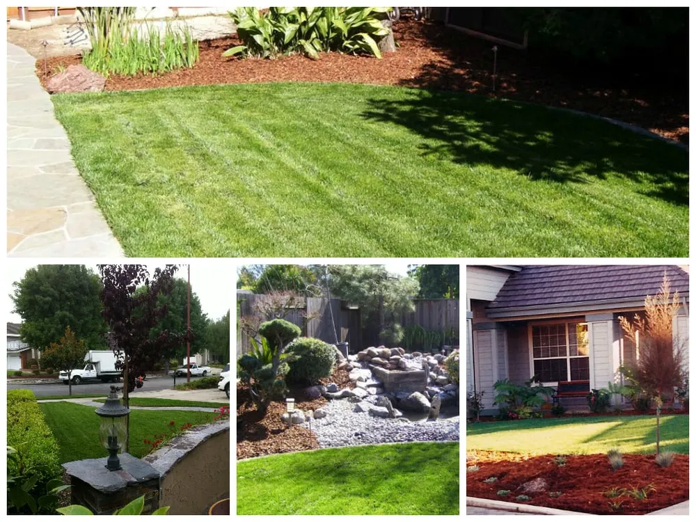 Trusted outdoor landscaping in Watsonville, CA - PGS Landscape Company