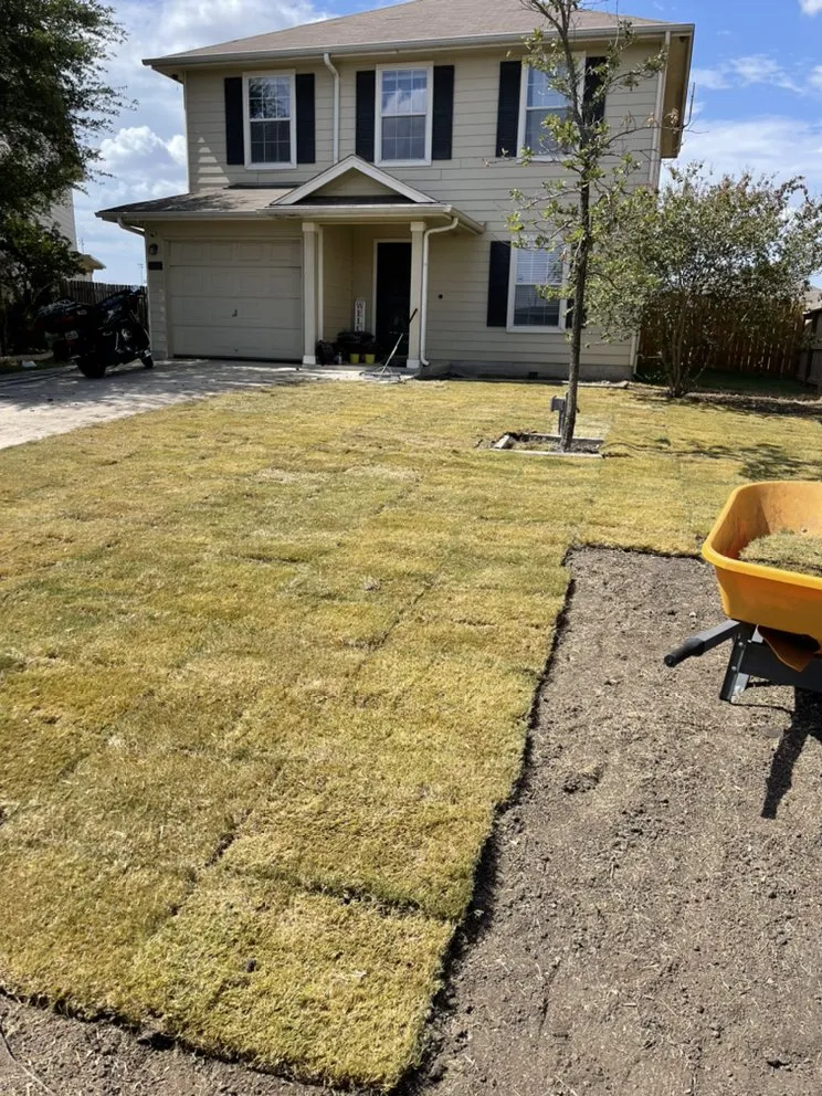Reliable yard cleanup service in Converse, TX by PGT&V Lawn Care & Landscapping